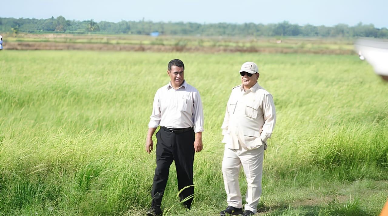 Satu Tahun Pemerintahan Prabowo: Di Balik Klaim Swasembada Beras
